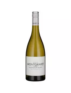 Sauvignon Blanc - Hvidvin